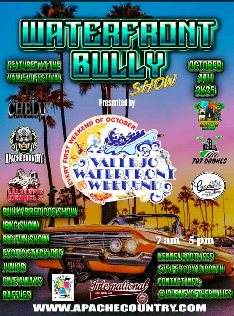waterfront weekend apache country vallejo ca bully show